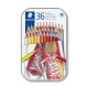 SCATOLA METALLO MATITE COLORATE STAEDTLER 36 PZ.