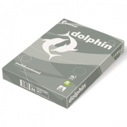 RISMA CARTA FOTOCOPIE DOLPHIN A3 80 GR. 500 FG