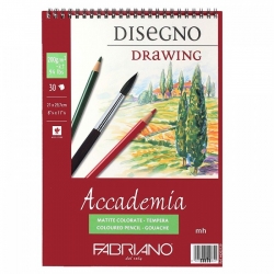 BLOCCO DISEGNO SPIRALE ACCADEMIA 30 FOGLI GRANA NATURALE 200 GR. FABRIANO